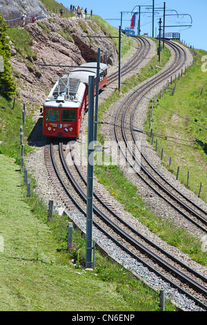 Schweizer Alpen Zahnradbahn Zug Aufstieg auf den Berg Rigi Stockfoto