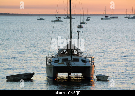 Katamaran und andere Boote in Fannie Bay bei Sonnenuntergang. Australien Stockfoto