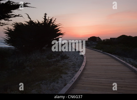 Sonnenuntergang über einen Fußweg durch die Sanddünen im Asilomar State Park in Kalifornien Stockfoto