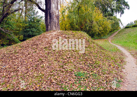Park im Herbst. alten Baum wächst auf Hügel und Laub. Stockfoto