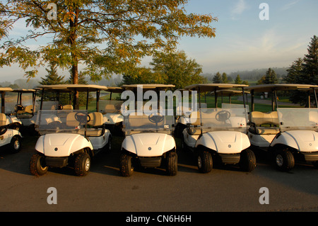 Golf-Carts in frühen Morgenstunden in einem Golfclub, Newmarket, Ontario Stockfoto