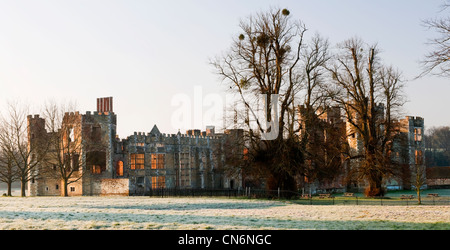 Die Ruinen von Cowdray Castle im Cowdray Park, Midhurst, West Sussex im frühen Morgen mit Frost auf den Boden und Kalk Bäumen Stockfoto