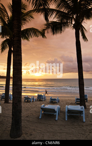 Palm Tree gerahmte Sonnenuntergang über Kamala Beach, Insel Phuket, Thailand Stockfoto