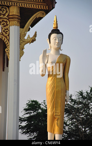 Buddhistische Statue bei Pha, die Luang, Ban Nongbone, Vientiane, Präfektur Vientiane, Laos Stockfoto