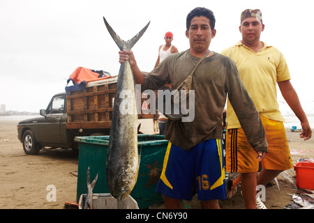 Drei Fischer verbreiten frisch gefangenen Fisch auf der Theke auf dem Fischmarkt. Es gibt viele Thunfisch. Stockfoto