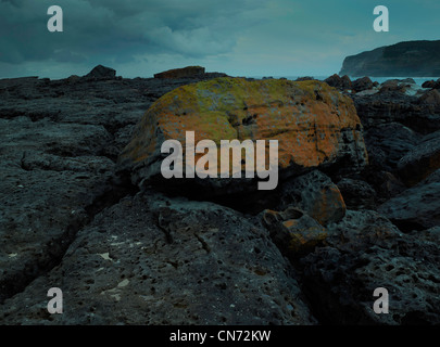 Farbige Flechten auf Felsen, Booderee Nationalpark, New South Wales Australien Stockfoto