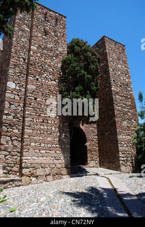 Terrasse unter der Puerta de Los Cuartos de Granada, Alcazaba de Málaga, Málaga, Andalusien, Südspanien, Westeuropa. Stockfoto