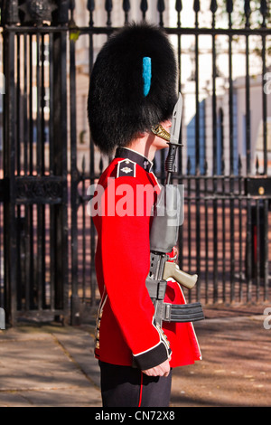 Irische Gardist im Clarence house Stockfoto