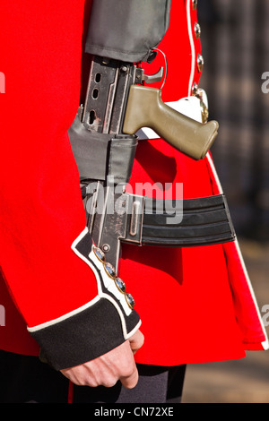 Irische Gardist im Clarence house Stockfoto