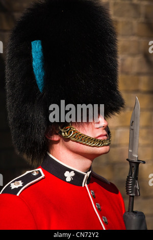 Irische Gardist im Clarence house Stockfoto