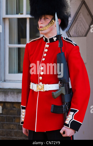 Irische Gardist im Clarence house Stockfoto