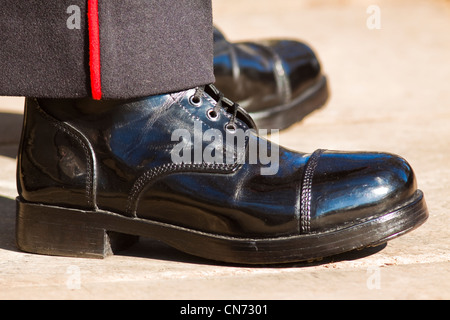 Irische Gardist im Clarence house Stockfoto