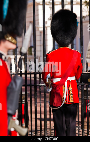 Irische Gardist Officer bei Clarence house Stockfoto