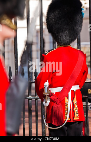 Irische Gardist Officer bei Clarence house Stockfoto