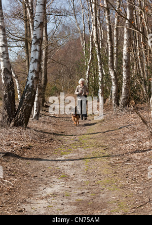 Eine Frau Canicross laufen mit ihrem Schäferhund-Hund Stockfoto