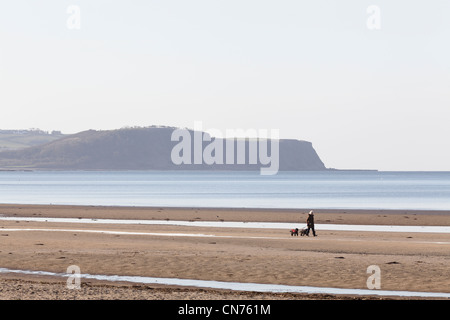 Blick nach Süden über Ayr Strand auf die Köpfe von Ayr in Ayrshire, Schottland Stockfoto