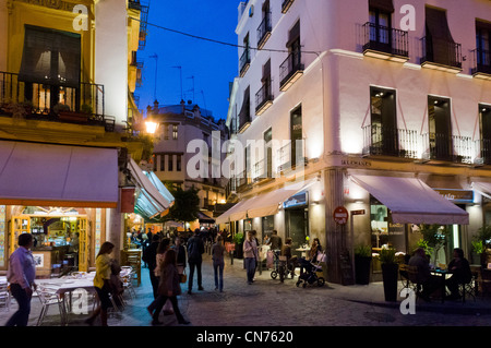 Cafés und Restaurants in der Nacht in der Nähe der Kathedrale, Calle de Los Alemanes, Sevilla, Andalusien, Spanien Stockfoto