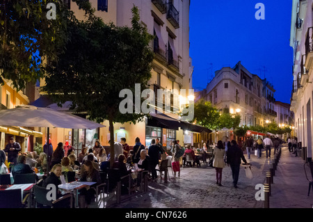 Cafés und Restaurants in der Nacht, in der Nähe von Kathedrale, Calle Alvarez Quintero, Sevilla, Andalusien, Spanien Stockfoto