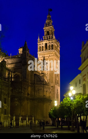 Sevilla, Spanien. La Giralda Turm in der Nacht, die Kathedrale von Sevilla, Sevilla, Andalusien, Spanien Stockfoto