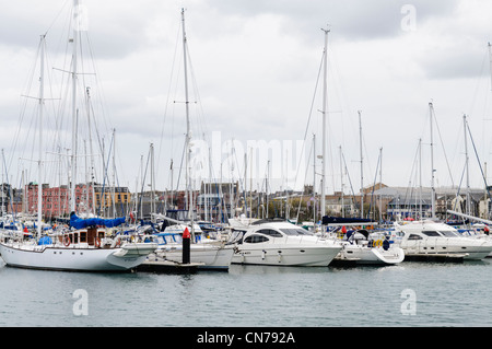 Yachten in Bangor marina Stockfoto