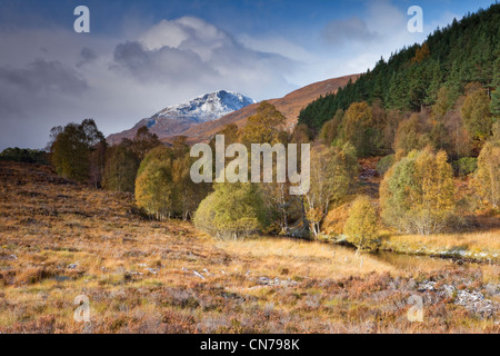 Herbstfarben im Glen Affric. Glen Affric bietet eine breite Vielfalt an Landschaften. Es umfasst eine National Nature Reserve Stockfoto