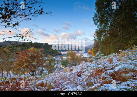 Herbst in Glen Affric Stockfoto