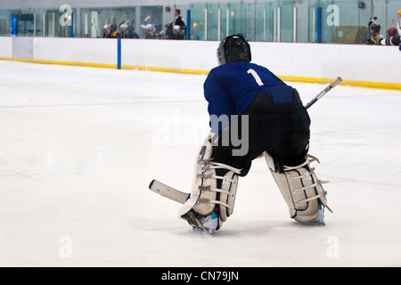 Ein Eishockey-Torwart Erwartung der Rückkehr des Pucks, damit er seine defensiven Rolle wieder aufnehmen kann. Geringe Schärfentiefe. Stockfoto