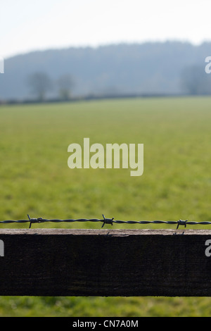 Porträt. Stacheldraht-Detail mit Holzzaun. Landschaft-Szene im Hintergrund mit Feld Hügel Bäume. Symbol für Sicherheit. Stockfoto