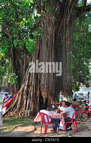 Restauranttische unter Banyan-Baum auf Mekong Riverfront, Vientiane, Präfektur Vientiane, Laos Stockfoto