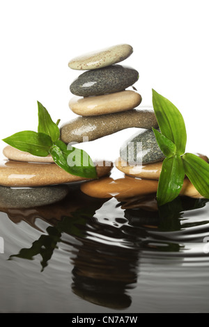 Steinen im Wasser mit Blättern Stockfoto