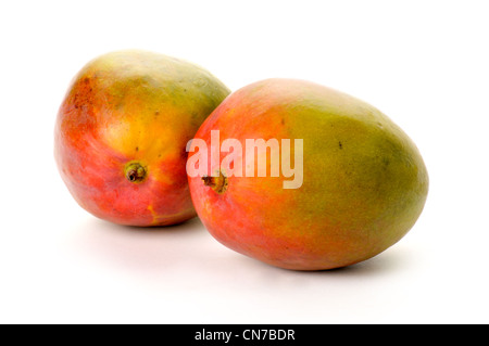 zwei frische Mangos auf weißem Hintergrund Stockfoto