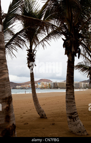 Der Strand in Las Palmas de Gran Canaria, Kanarische Inseln Stockfoto