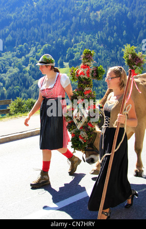 Zeremoniell Fahrt des Viehs von den Bergweiden, Rückkehr des Viehs in ihrer jeweiligen Inhaber Stockfoto