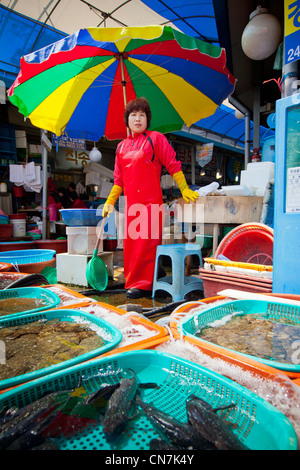 Süd Korea, Süd-Gyeongsang Provinz, Masan, Fischmarkt, Frau stand hinter Kunststoffbehälter von lebenden Fischen Stockfoto