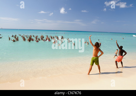 Dominikanische Republik, Provinz La Romana, Bayahibe, eine Gruppe von Touristen bei der Wassergymnastik im karibischen Meer Stockfoto