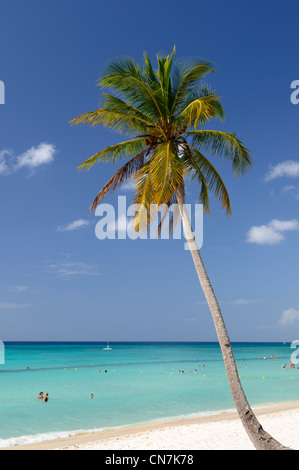Dominikanische Republik, La Romana Provinz, Bayahibe, Küsten des karibischen Meeres mit weißem Sand und Palmen Stockfoto