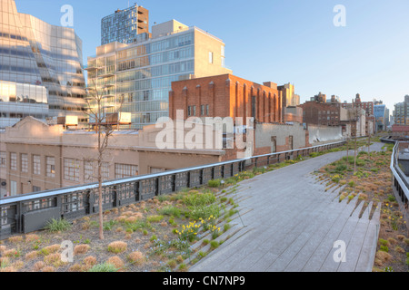 Ein Blick auf die Landschaftsgestaltung im High Line Park und die Umgebung in New York City. Stockfoto