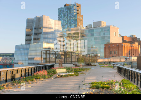 Ein Blick auf die Landschaftsgestaltung im High Line Park mit Frank Gehry entworfen IAC Building in New York City im Hintergrund. Stockfoto