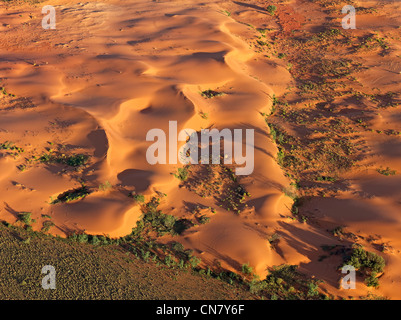 Tiefflug Luftaufnahme der roten Sanddünen, Outback NSW, Australien Stockfoto