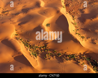 Tiefflug Luftaufnahme der roten Sanddünen, Outback NSW, Australien Stockfoto