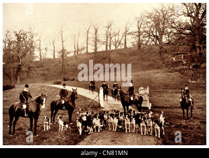 Fox-Jäger mit Pferd und Hunden 1904 Stockfoto