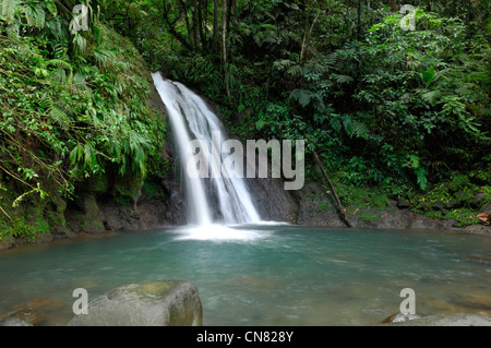 Frankreich, Guadeloupe (Französische Antillen), Basse-Terre, Route De La Traversee, Cascade Aux Ecrevisses (Krebse im Herbst) Stockfoto