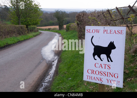 Katzen, die die Straße überqueren, zeichnen Großbritannien als eine Nation von Tierliebhabern aus. Coldharbour Surrey Großbritannien. Surrey Hills. Fahren Sie langsam Katzen überqueren. 2012, 2010er, HOMER SYKES Stockfoto