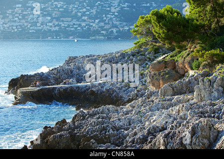 Frankreich, Alpes Maritimes, Roquebrune Cap Martin, Cap Martin, Küsten-Wanderweg, Promenade Le Corbusier Stockfoto