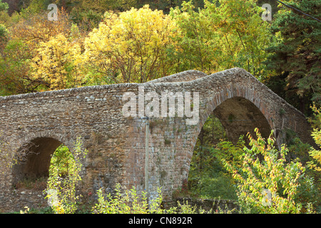 Frankreich, Alpes Maritimes, Roya-Tal, in der Nähe von La Brig, die Hahn-Brücke auf dem Fluß Levense Stockfoto