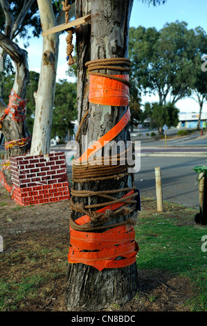 Straßenbäume in Bassendean geschmückt mit Kunstwerken aus recyceltem Müll als Teil des jährlichen Stamm wickeln Kunstfestivals. Stockfoto