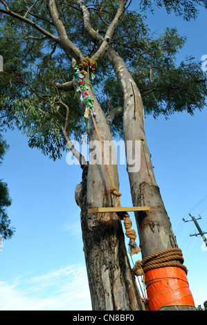 Straßenbäume in Bassendean geschmückt mit Kunstwerken aus recyceltem Müll als Teil des jährlichen Stamm wickeln Kunstfestivals. Stockfoto