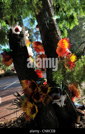 Straßenbäume in Bassendean geschmückt mit Kunstwerken aus recyceltem Müll als Teil des jährlichen Stamm wickeln Kunstfestivals. Stockfoto