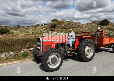 Ein portugiesischer Landwirt fährt einen Traktor auf einer Landstraße in der Nähe von Castelo de Vide, Alentejo, Portugal. Stockfoto