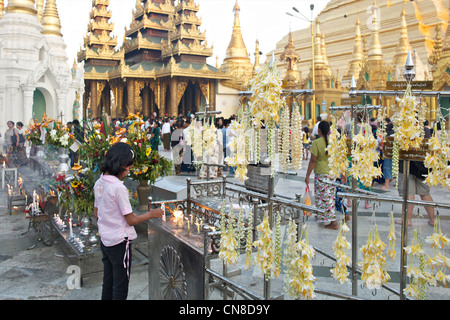 Jasmin Blumengirlanden hängen in der Shwedagon Paya in Rangun in Birma Stockfoto